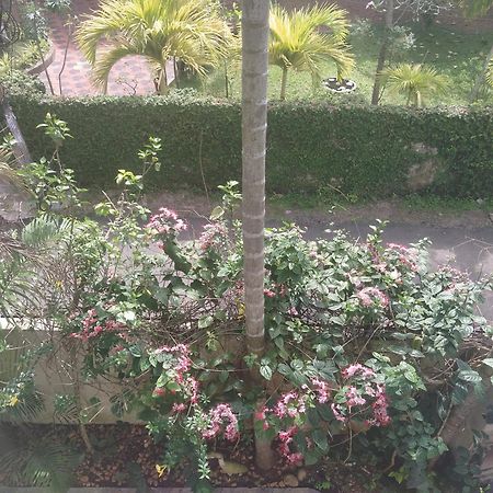 Paradise Inn Guest House Alappuzha Esterno foto